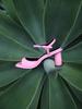 Blanc Sur Blanc Jenny Sandals Pink
