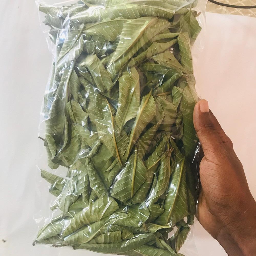 Φύλλα Γκουάβας 500g Τσάι Βοτάνων, Φυσικό Ρόφημα Αποτοξίνωσης για Υποστήριξη Ενέργειας και Ευεξίας