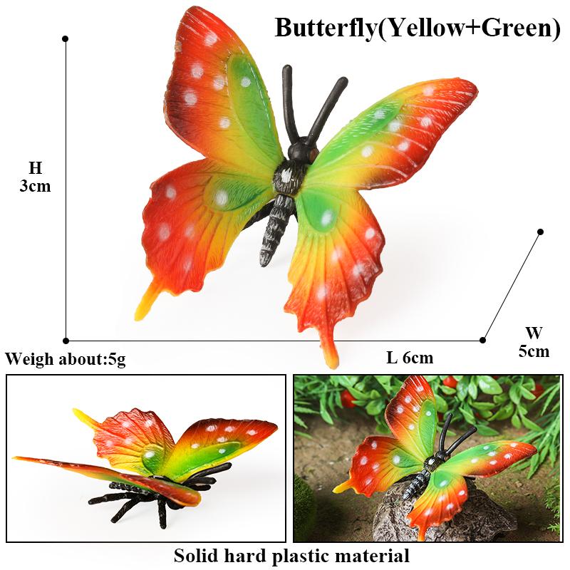 Oenux Insect Animals Model Monarch Actias Ningpoana Swallowtail Butterfly Growth Cycle Garden Figurine Education Kid Toy Gift