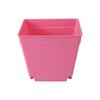 Mini Square Flower Pots Colorful Succulent Seedling Trays Plastic Nursery Planters DIY Plant Grow Boxes Garden Home Office Decor