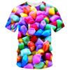 Kids O Neck Short Sleeve Tee With 3D Color Candy Graphic Print Street Style For School Outdoor Daily Casual Activities