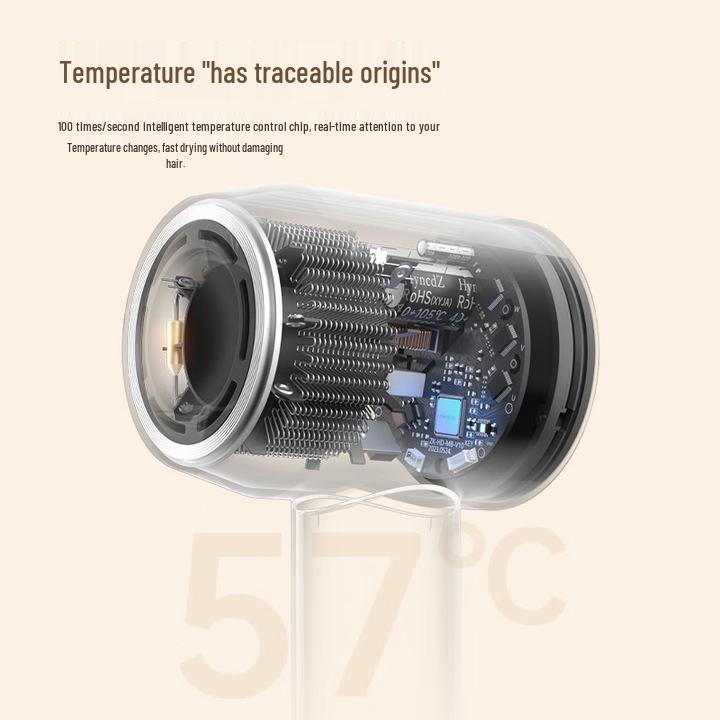 2025 High-Speed Negative Ion Professional Hair Dryer for Home and Salon, Hot and Cold Air, Large Air Volume.