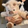 Creative Gift Soft Pig Stuffed Animal Plush Pillow Emotional Support Cute Plush Toy 17.7inch Stuffed Animals Plush