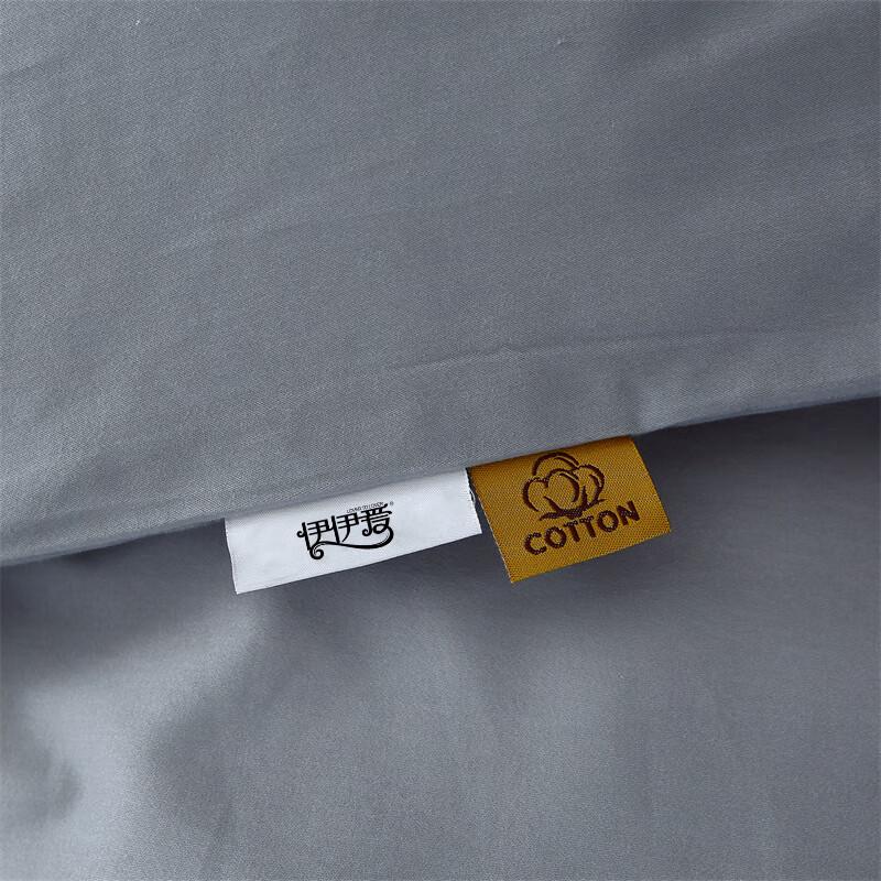 Yiyiai Pure Cotton Flannel 3-Piece Bedding Set