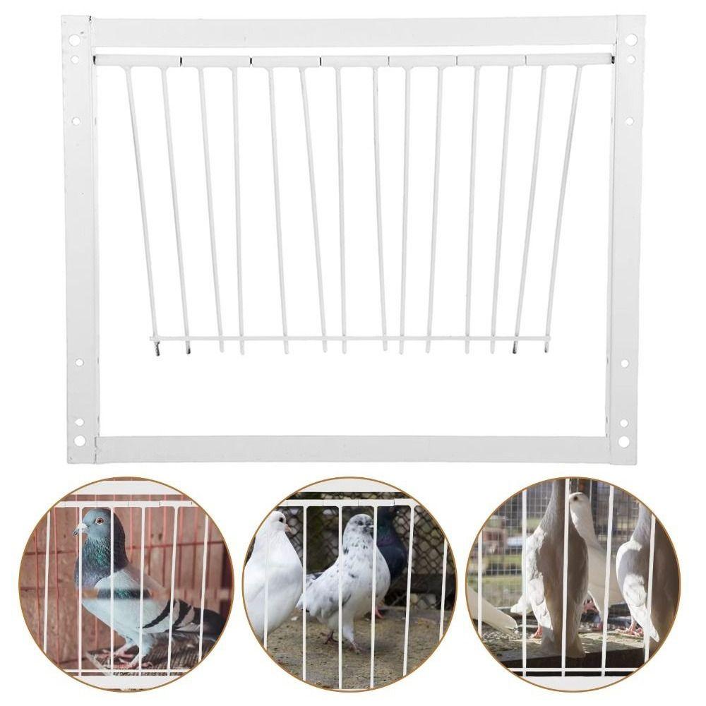 Jednodílná vchodová dvířka pro holubí klec 30/40 cm Vchod do ptačí klece Past na holuby Dvířka Ptačí klece a hnízda