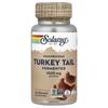 Fermented Turkey Tail Mushrooms, 60 VegCaps (500 Mg Per Capsule)