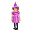 Paw Patrol Girls Skye Witch Costume Set
