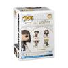 Funko Harry Chamber of Secrets Hermione POP! MOVIES Potter- Anniversary-