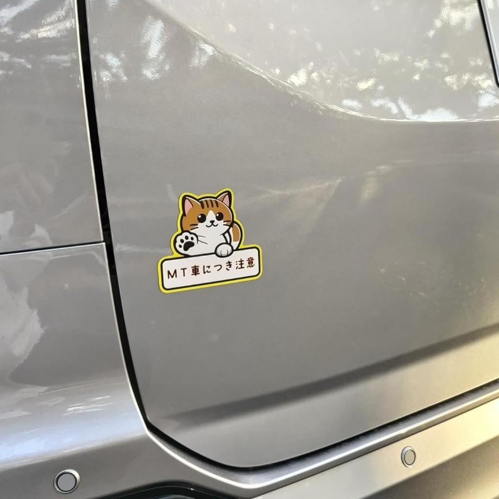Magnetic Sticker for Cars, Beginners, MT Cars, Recording, Caution, Magnet MT Cars, Cat Pattern