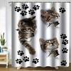 Three Cute Tabby Cats Print Art Party Decoration Waterproof Single Shower Curtain Hotel Apartment Bathroom Shower Curtain