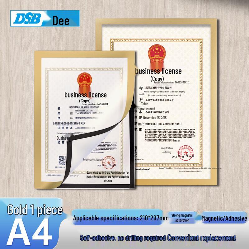 DSB Magnetic Document Display Frame