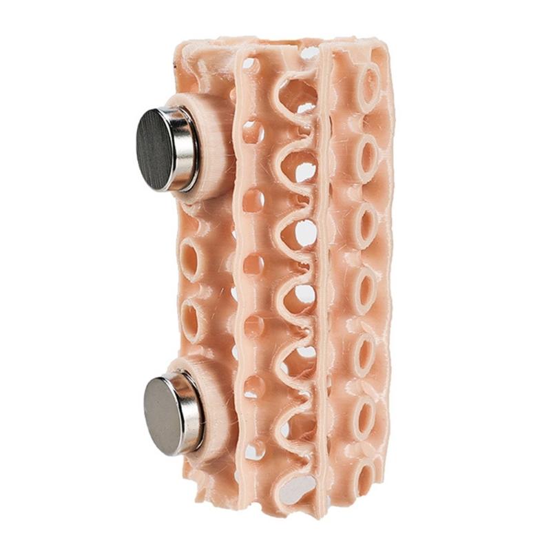 

ABS Plastic Ventilated Enclosure for Jumping Spiders with Climbing Tunnel Promoting Exploration and Growth