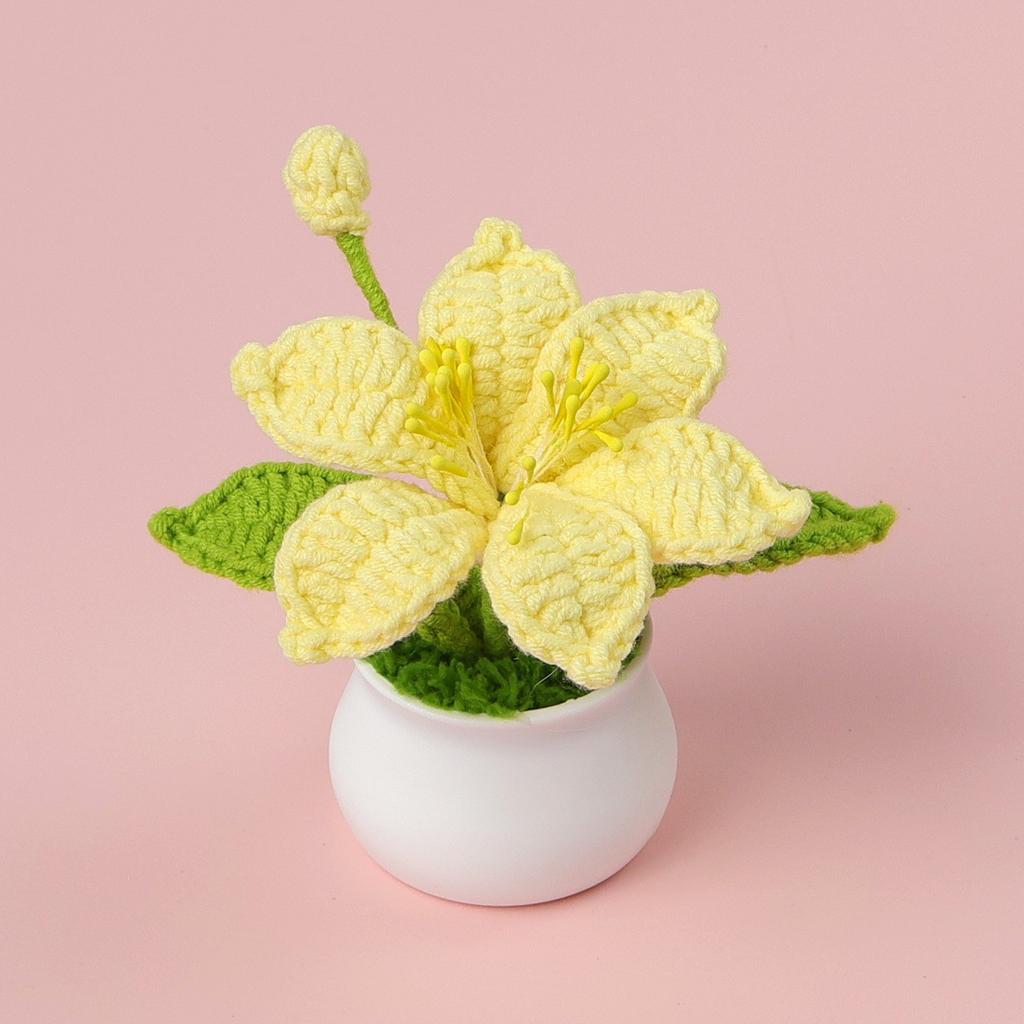 Hand-Knitted Wool Fake Flowers Set: Sunflower, Carnation, Tulip - Desktop Decor, Teacher/Student Gift, Everlasting Bouquet