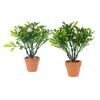 Miniature White Flower Green Plant Potted Ornament Dollhouse Mini Bonsai Model Decoration Micro Scene Layout Pography Props