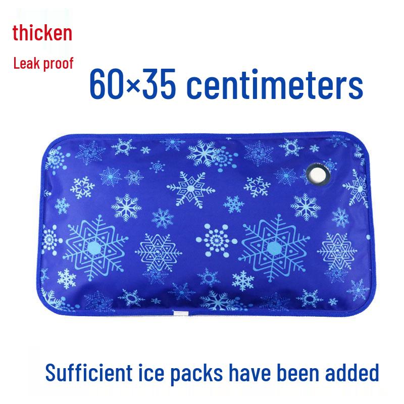 Large Water-Filled Cooling Ice Pillow for Adults & Students