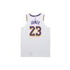 Nike NBA Lakers LeBron James VaporKnit Jersey 'White' Men's AT4709-102