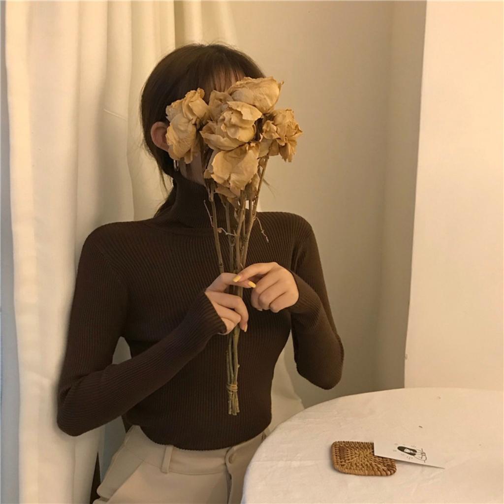 Düz Renk, Balıkçı Yaka Kazak, Örgü Kazak, İçlik, Kadın, Kazak, Dış Giyim, Üst