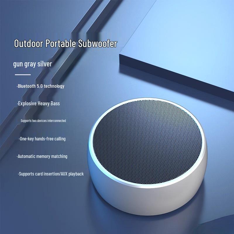 Portable Outdoor Bluetooth Speaker with Smart Reconnect, High-Quality Sound, and Powerful Bass (BS01)