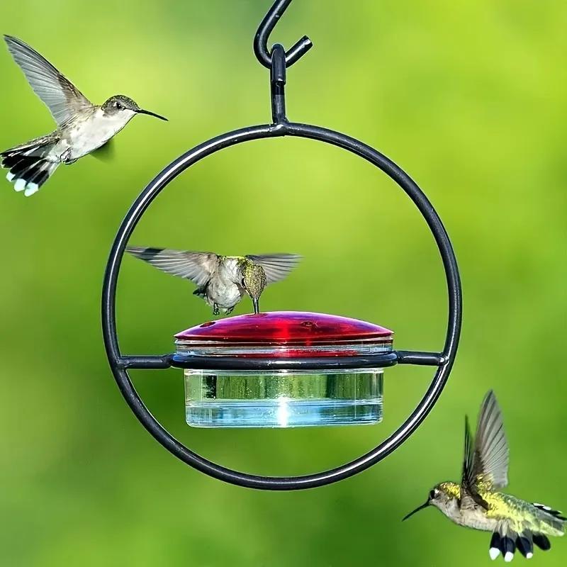Hummingbird Feeder, Beautiful Hanging Bird Feeder with Circular Metal Frame and Metal Bottle. Hummingbird Feeder