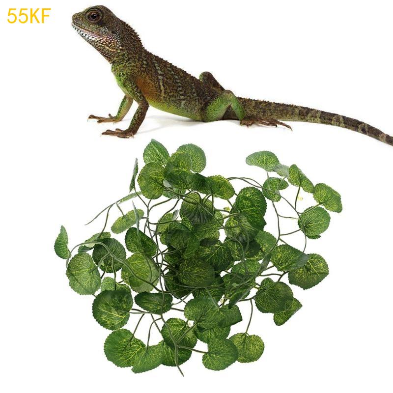 55KF Haustier Eckast Pflanzen für Amphibien Bartagame