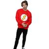 DC Comics Mens Flash Distressed Logo Sweatshirt