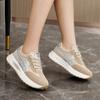 New Spring and Summer Versatile Dad Shoes Casual Mesh Shoes Breathable Height-enhancing Thick Sole Women's Shoes Sports Trend