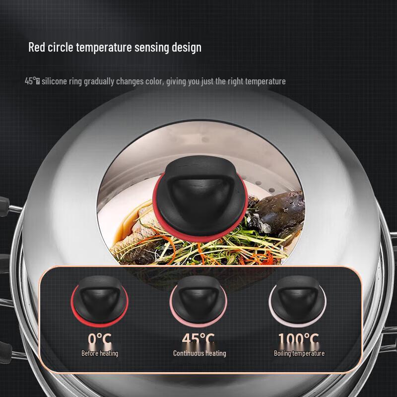 Meichu 30CM doppelstöckiger Dampfgarer aus Edelstahl