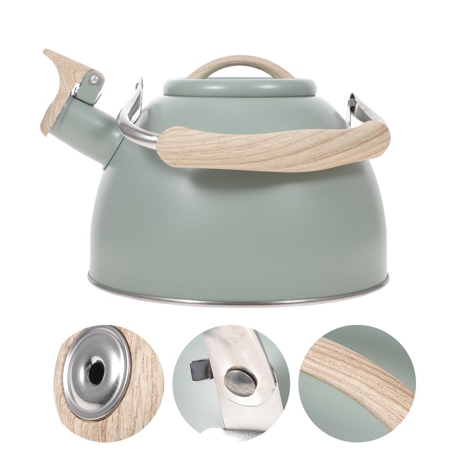 

Чайник для ежедневного использования на плите, жужжащий, портативный, нержавеющий, со свистком, с ручкой из нержавеющей стали, чайный аксессуар светло-зеленый