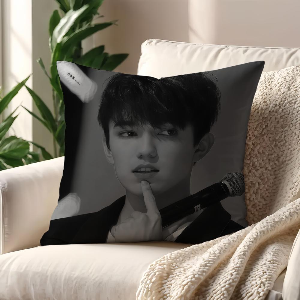 Singer DDimash KKudaibergens cushion cover For Pillow Printing Sofa Decoration Home Car Room Coffee Office Nordic Simplicity