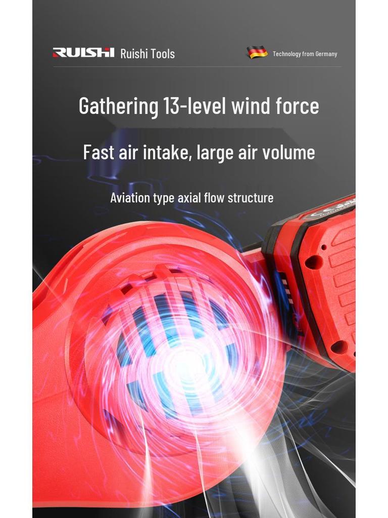 Ruishi High-Power Rechargeable Hair Dryer & Dust Blower/Vacuum for Home & Industrial Use