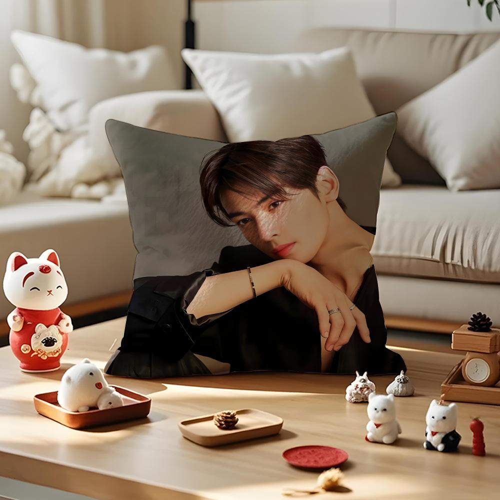 Singer Cha E-Eun W-Woo Cushion Cover Silky Short Plush With Invisible Zipper Dustproof Sofa Pillow Cover For Home Decor