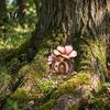 Wooden Crafts Decoration Fairy Garden Decoration, Tree Hollow Cottage Door with High-Definition Elf Light UV Printing, Waterproof Acrylic Outdoor
