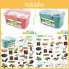 Detailed Butterfly Bee And Frog Life Cycle Models In Colorful Storage Box For Kids