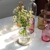 Nordic Glass Vase Transparent Small Flower Pot Ornament Hydroponic Tabletop Vasen Planters Home Aesthetic Decor Ornament Craft