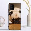 Soft Phone Cover For Samsung Galaxy A32 A12 A52 A53 A22 5G A11 A21S A50 A10S A20E A30S A40 A51 A70 A71 CASE Lovely Pug Dog