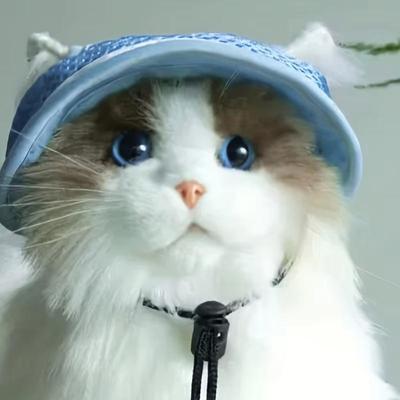 Summer Pet Cat Sun Hat with Ear Holes - Cute Kitten Fisherman Cap for UV Protection, Breathable Outdoor Sunshade Cap for Pets