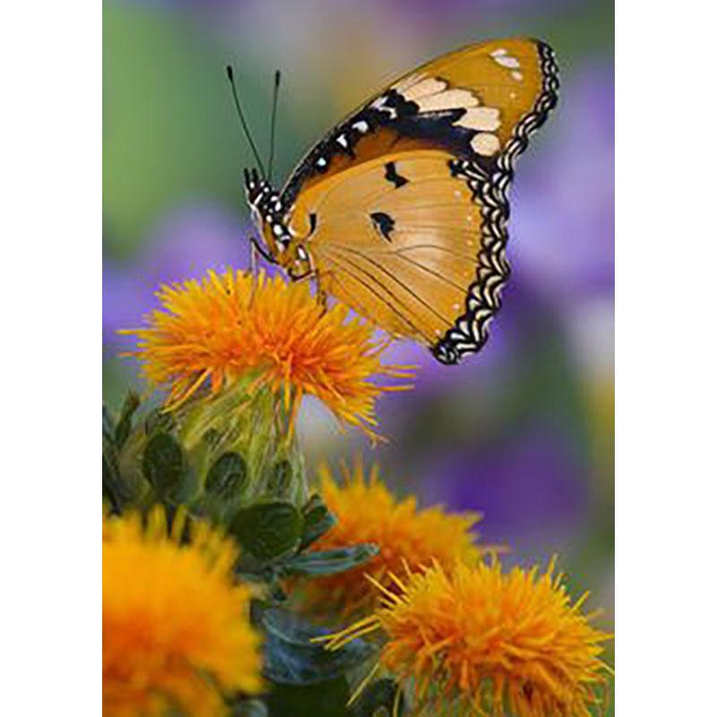 DIY Butterfly 5D Diamond Painting Full Round Drill Cross Ctitch Kits Animal Diamond Embroidery Mosaic Gift Wall Art Home Decor