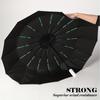 Automatic 32 Ribbed Umbrella - Windproof, Foldable, Sunscreen, and Sunshade Umbrella Dual Dragon Bone Sun Rain Dual Use