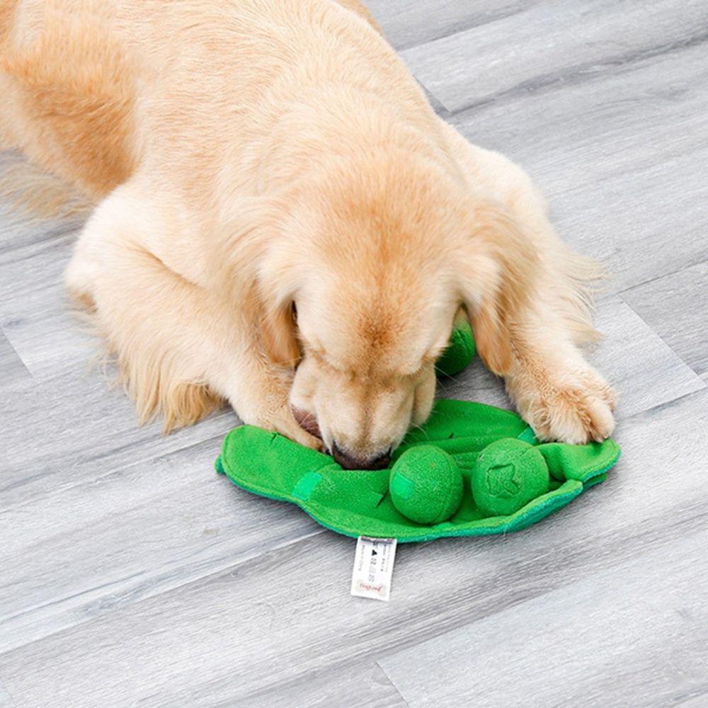 puppy pacifier petsmart