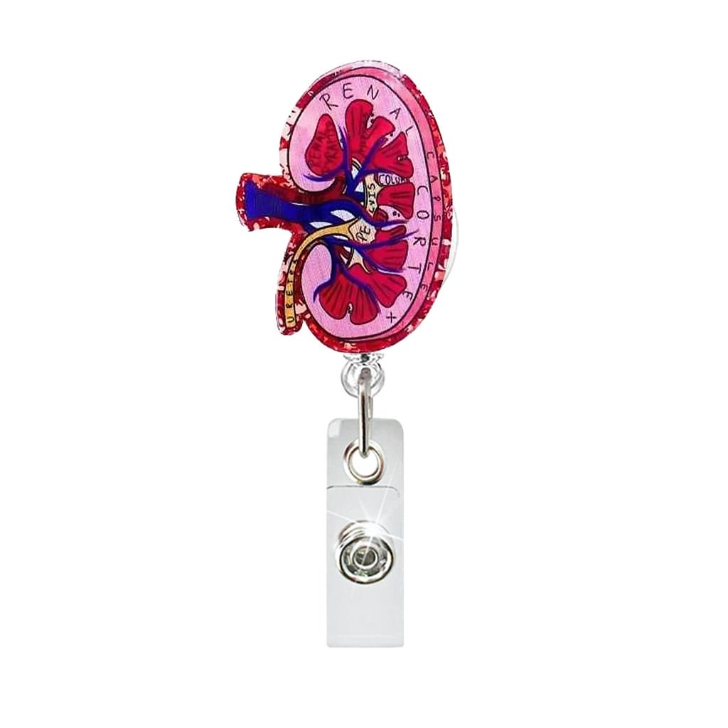 Badge Reel Functional Id Card Holder Doctor Badge Holder Retractable Nurse Badge Holder For Identification Display Work Id