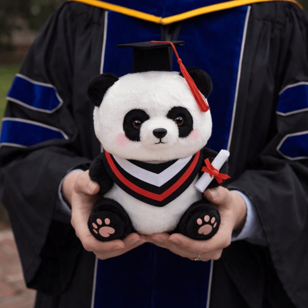Soft Graduation Panda Plush Toy 25cm Plush Panda Ornaments Doctor Hat Panda Doll  Home Decor
