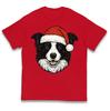 Border Collie Face Christmas Kids T Shirt