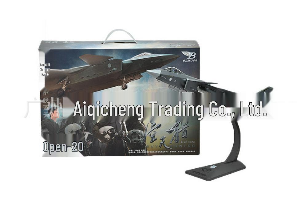 J-20 Stealth Fighter 1:60 Alloy Display Model - Static Aviation Military Gift