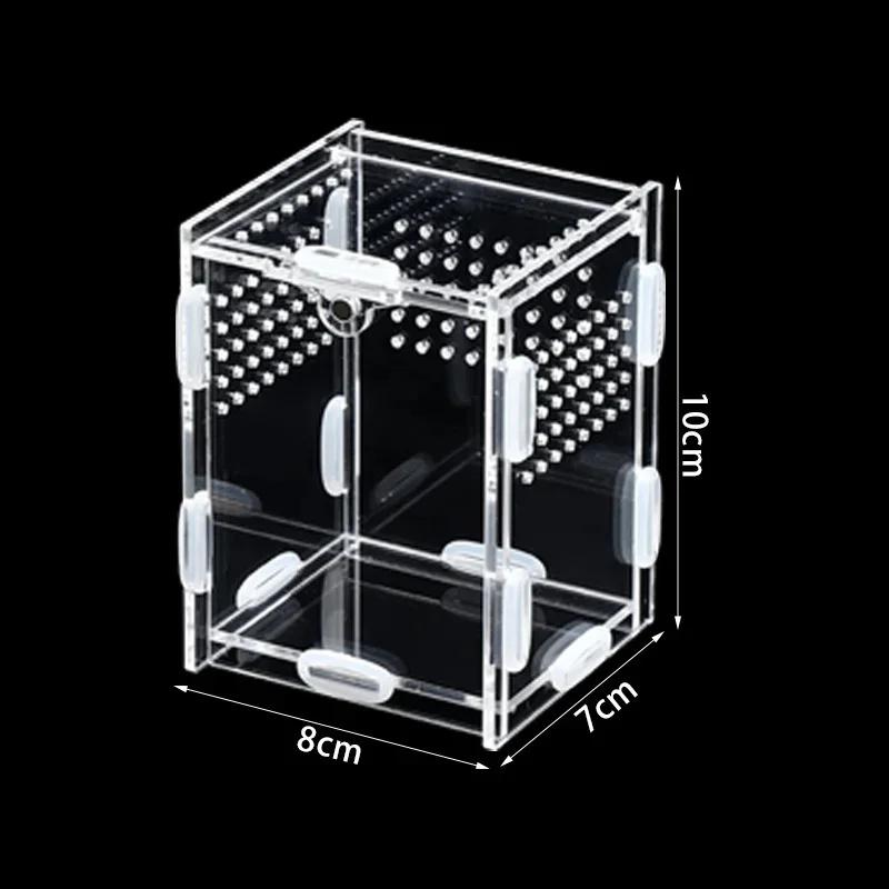 Acrylic Transparent Terrarium Enclosure Assembly Kit For Insects Reptiles Pets Home Display For Hobbyists Kids Birthday Gift