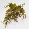 5 Heads 25 Mesh Simulated Eucalyptus Leaf Home Living Room Photography Shooting Props Green Plants Dried Flowers Simulated Flowers