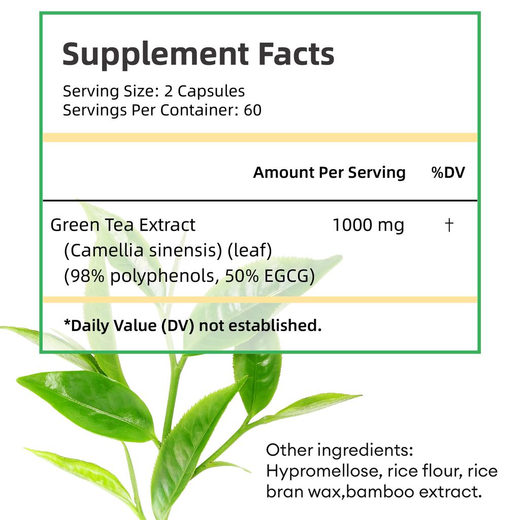 Grüntee-Extrakt-Kapseln, 1000 mg pro Portion, enthaltend 50 % EGCG und 98 % Polyphenole, leicht absorbierbar, GVO-frei, für Erwachsene geeignet.