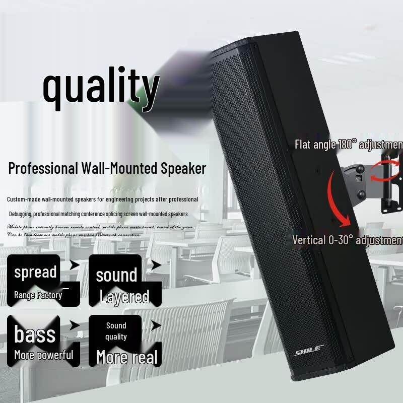 Shile Professional Small Conference Room Speaker System (CN version)
