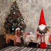 Christmas Lighted Dachshund Wiener Dog 2.3ft Christmas Tinsel Wiener Dog Christmas Holiday Decoration for Outdoor Indoor Yard