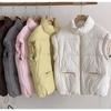 New women's clothing solid color zipper pocket cotton clothes vest fashion stand-up collar temperament commuter jacket