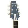 ARIA ProII LRBL Aria Evergreen Electric Guitar PE-AE200